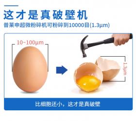 大型超微破壁粉碎機，為何要選午夜视频在线免费？
